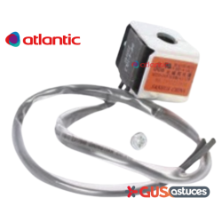 Bobine vanne directionnelle 169455 Atlantic