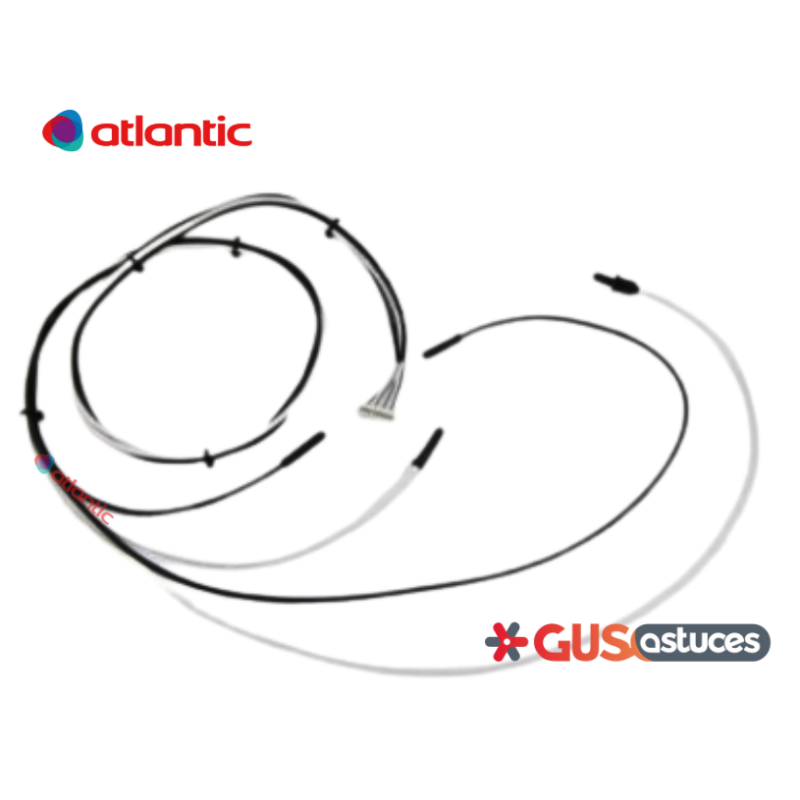 Faisceau 4 sondes 026252 Atlantic