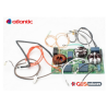 Platine d'alimentation 898154 Atlantic