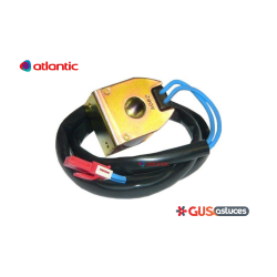Bobine électrovanne 890256 Atlantic
